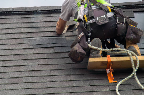 Best Roof Gutter Cleaning  in Girard, IL